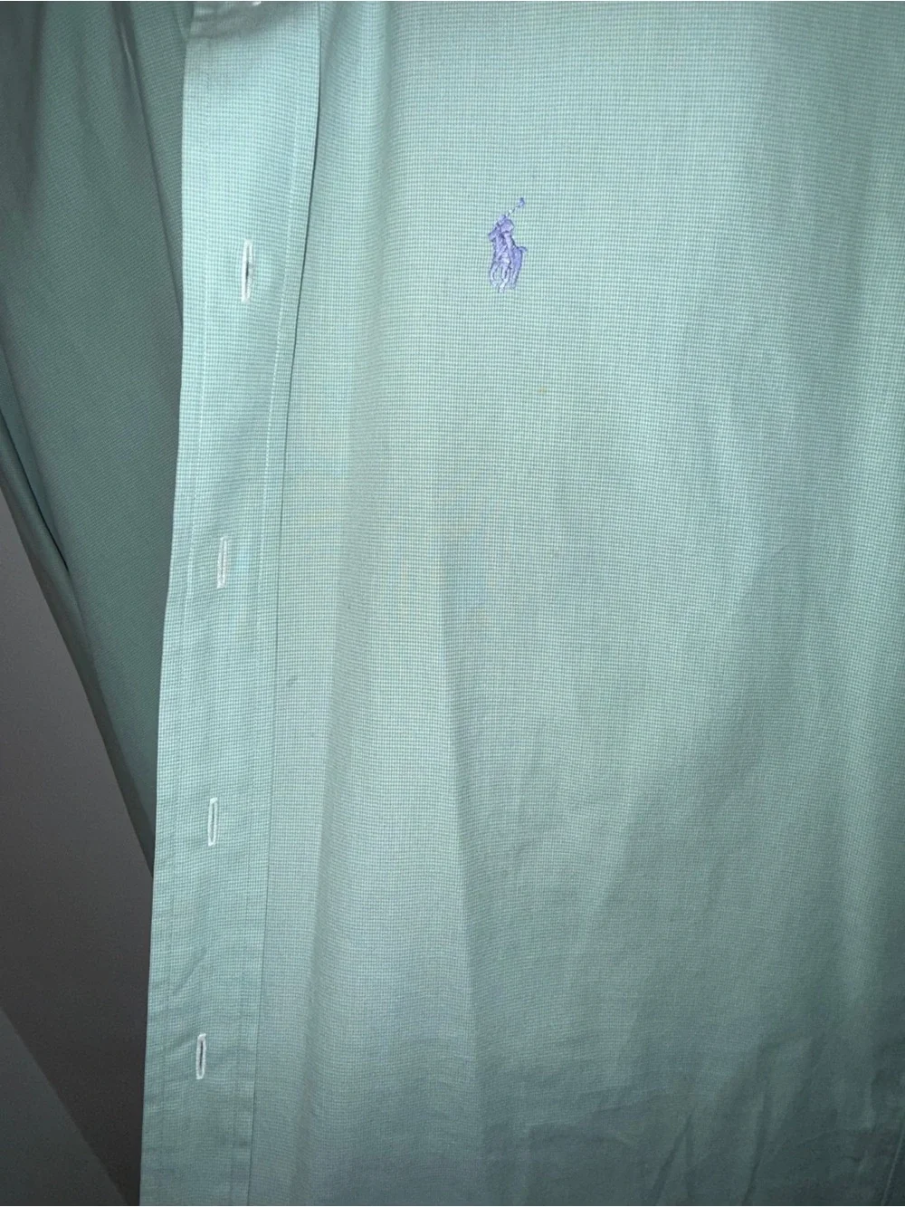 Polo by Ralph Lauren Light Mint Green Button-Down Shirt